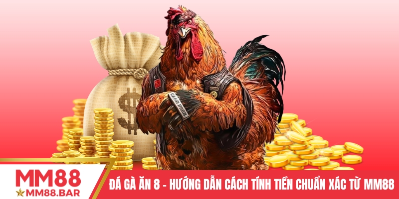 Đá Gà Ăn 8 - Hướng Dẫn Cách Tính Tiền Chuẩn Xác Từ MM88